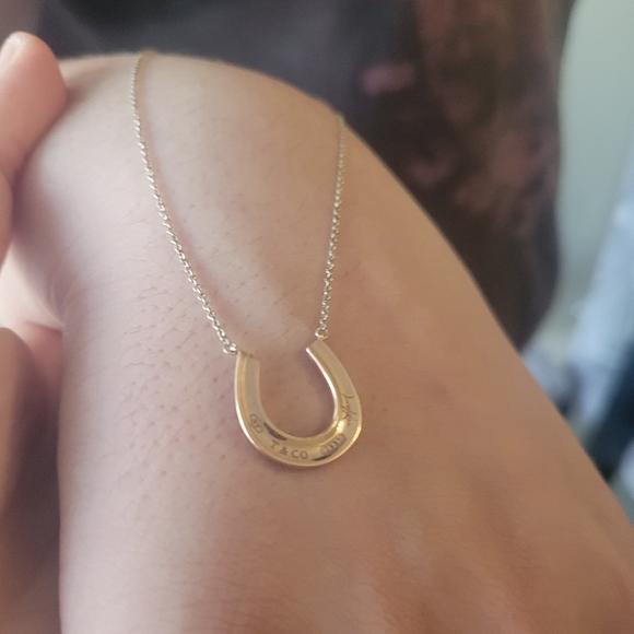 Tiffany & Co 1837 Rubedo Metal &925 Sterling silver Necklace 16" - Picture 16 of 17